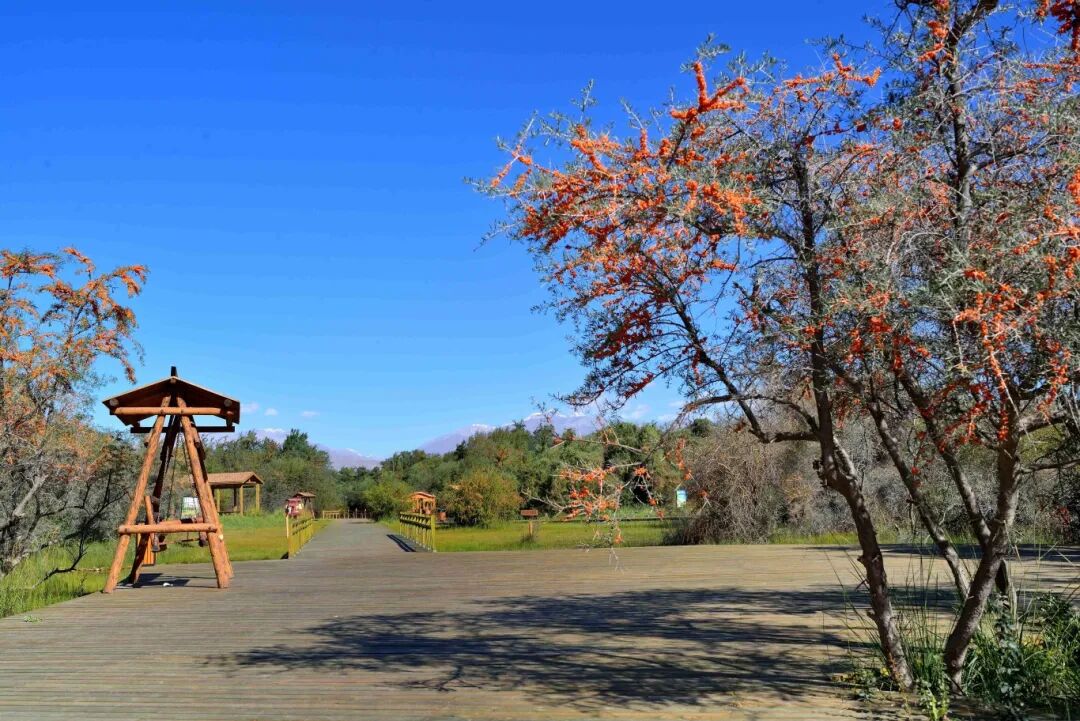 国庆中秋玩转乌什,看这条就够了! DSC_3967.jpg