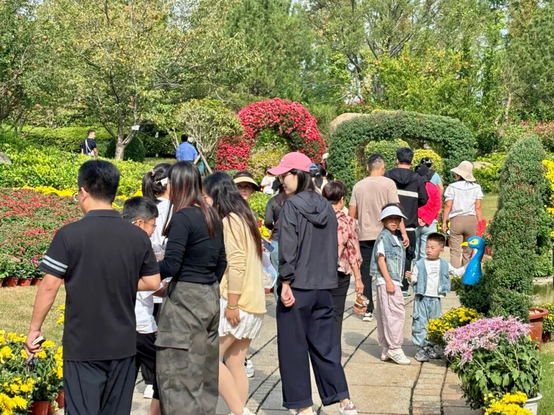 日照这里，人气爆棚！