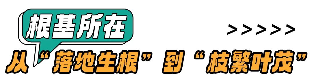 踢好“临门一脚”！齐鲁超赛，日照交出了怎样的答卷？