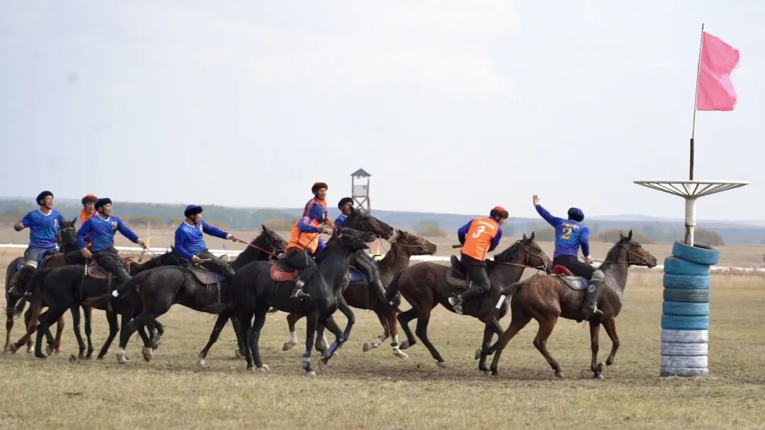 以马为媒 赛出民族团结情——2025’和美乡村·伊犁马性能测试系列赛(昭苏站)圆满收官 以马为媒 赛出民族团结情——2025’和美乡村·伊犁马性能测试系列赛(昭苏站)圆满收官