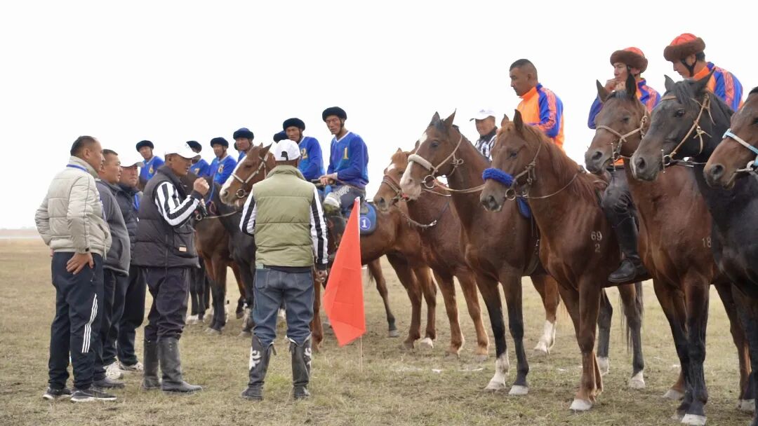 以马为媒 赛出民族团结情——2025’和美乡村·伊犁马性能测试系列赛(昭苏站)圆满收官 以马为媒 赛出民族团结情——2025’和美乡村·伊犁马性能测试系列赛(昭苏站)圆满收官