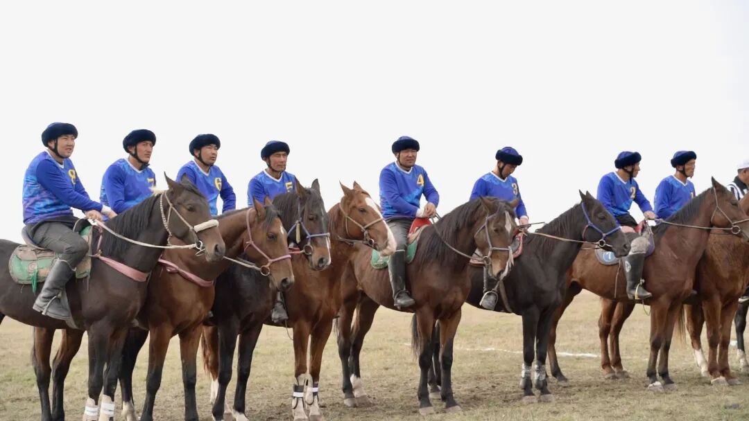 以马为媒 赛出民族团结情——2025’和美乡村·伊犁马性能测试系列赛(昭苏站)圆满收官 以马为媒 赛出民族团结情——2025’和美乡村·伊犁马性能测试系列赛(昭苏站)圆满收官