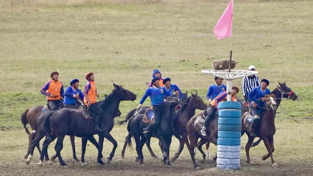 以马为媒 赛出民族团结情——2025’和美乡村·伊犁马性能测试系列赛(昭苏站)圆满收官 以马为媒 赛出民族团结情——2025’和美乡村·伊犁马性能测试系列赛(昭苏站)圆满收官