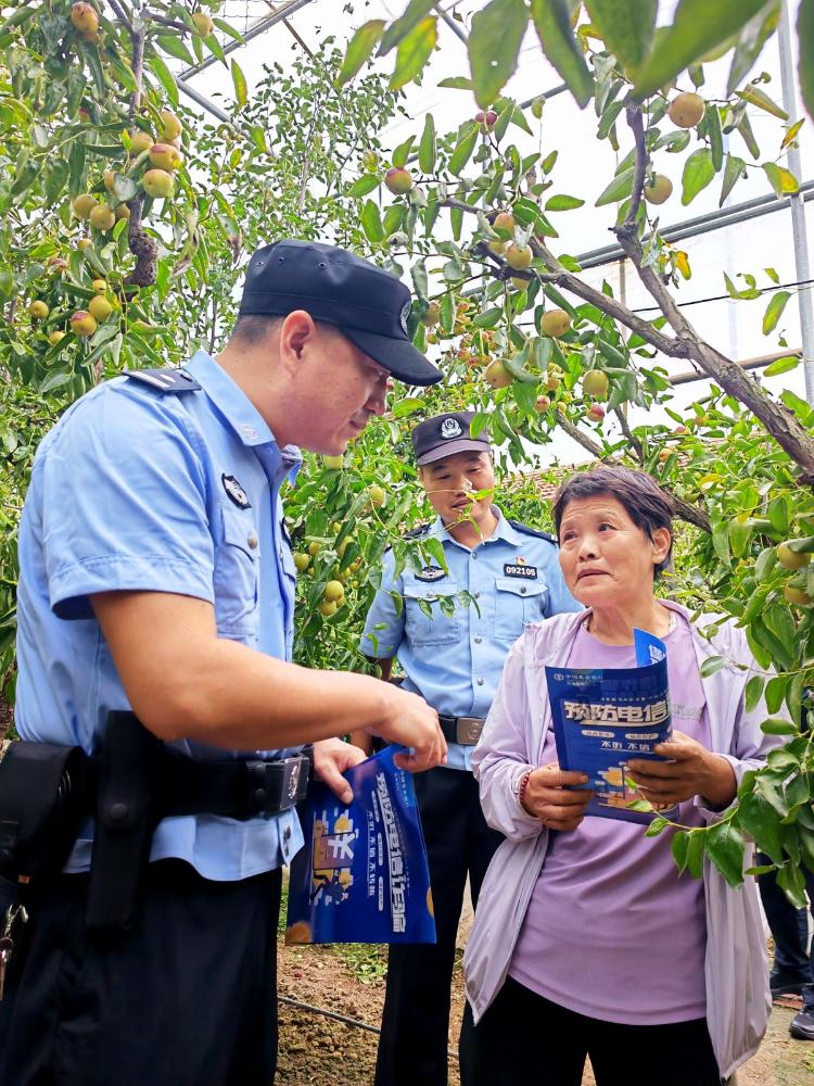 枣林“景中警” 沾化公安全力守护冬枣丰收季