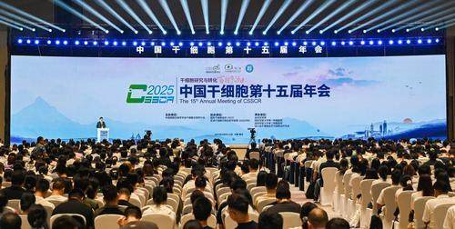 展现最新科研成果！2025年中国干细胞第十五届年会在渝开幕