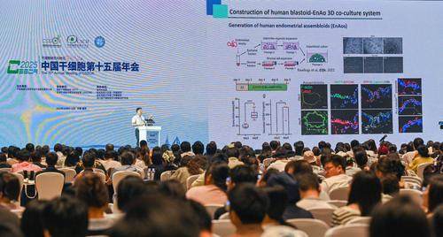 展现最新科研成果！2025年中国干细胞第十五届年会在渝开幕