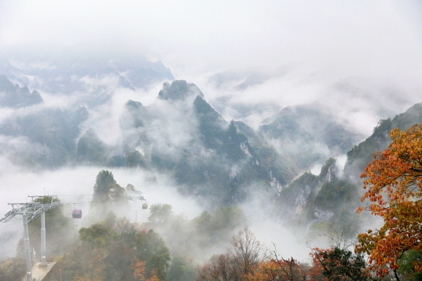 重庆城口：生态打底 产业赋能 大巴山“好风景”变“好钱景”重庆