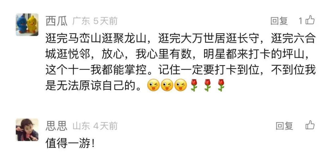 是时候一起回顾坪山的美美Holiday