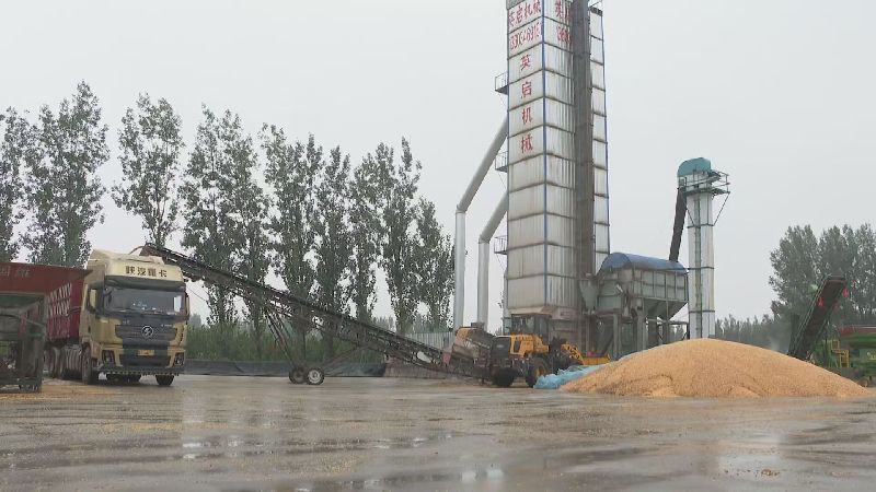 主动出击 山东惠民多措并举确保秋粮颗粒归仓