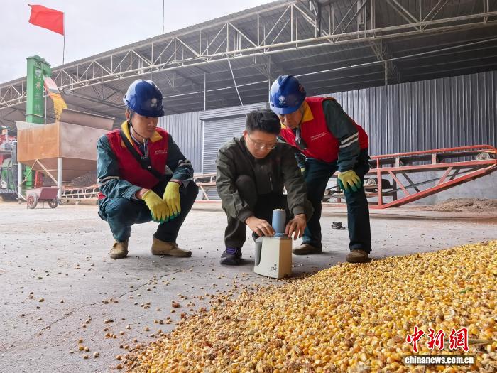 山西临汾：秋雨连绵抢农时 电力护航保归仓