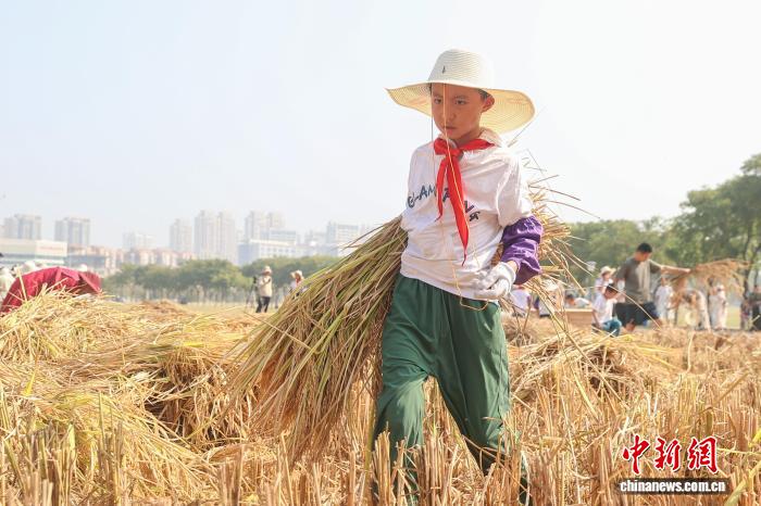江西南昌：青少年走进农田 体验秋收乐趣