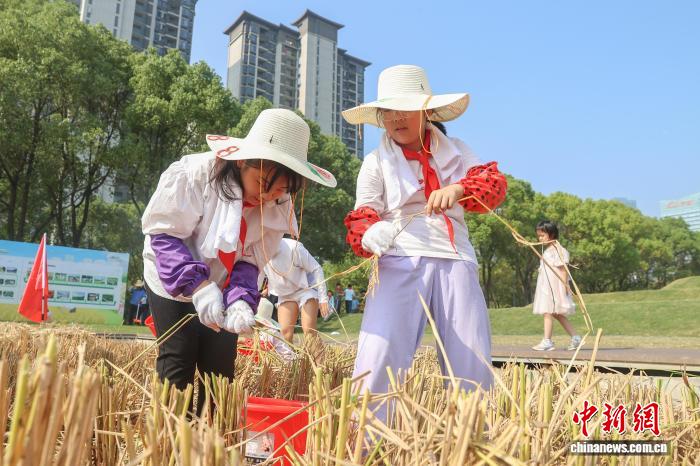 江西南昌：青少年走进农田 体验秋收乐趣