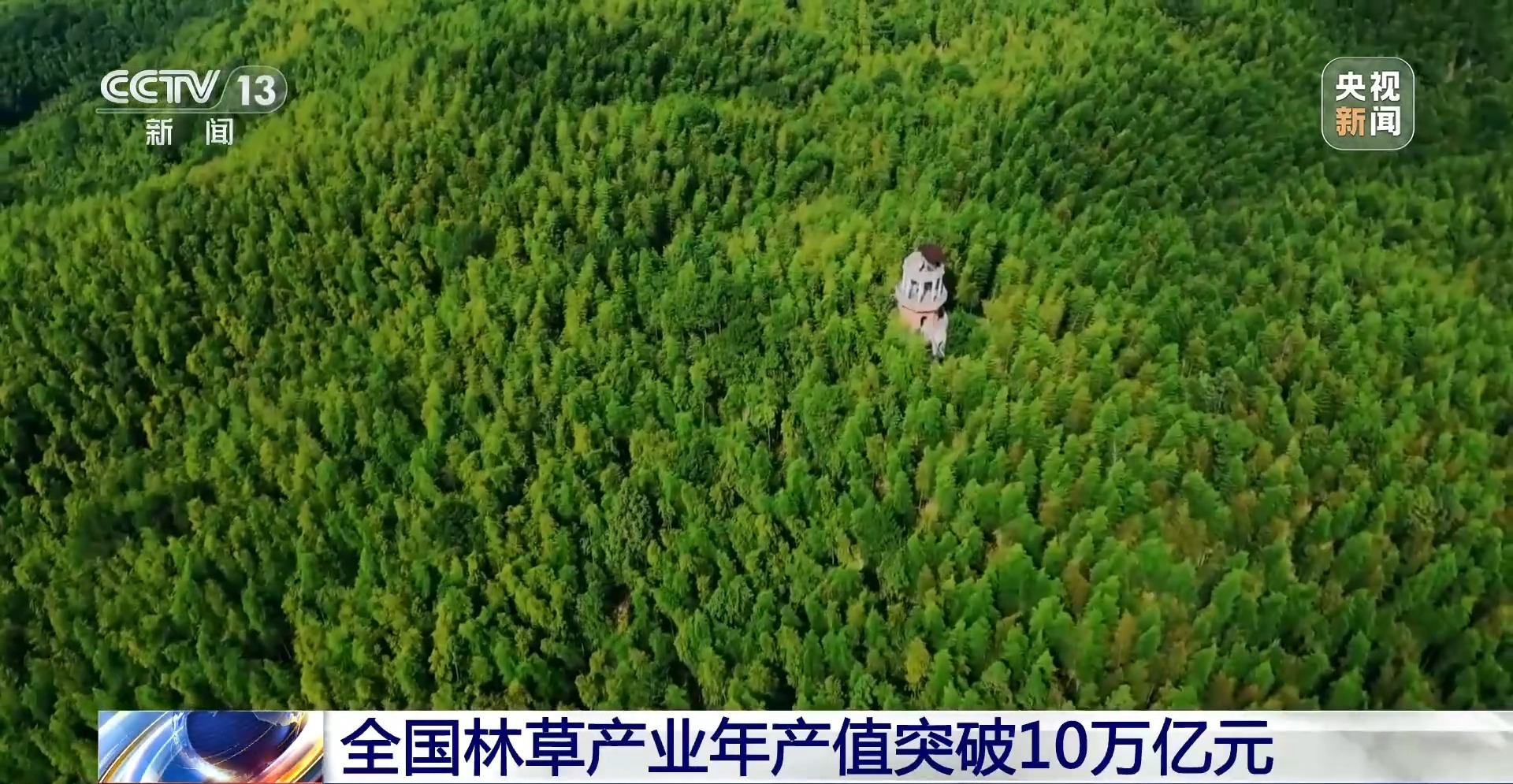 青山成了“金山”！我国林草产业年产值突破10万亿元