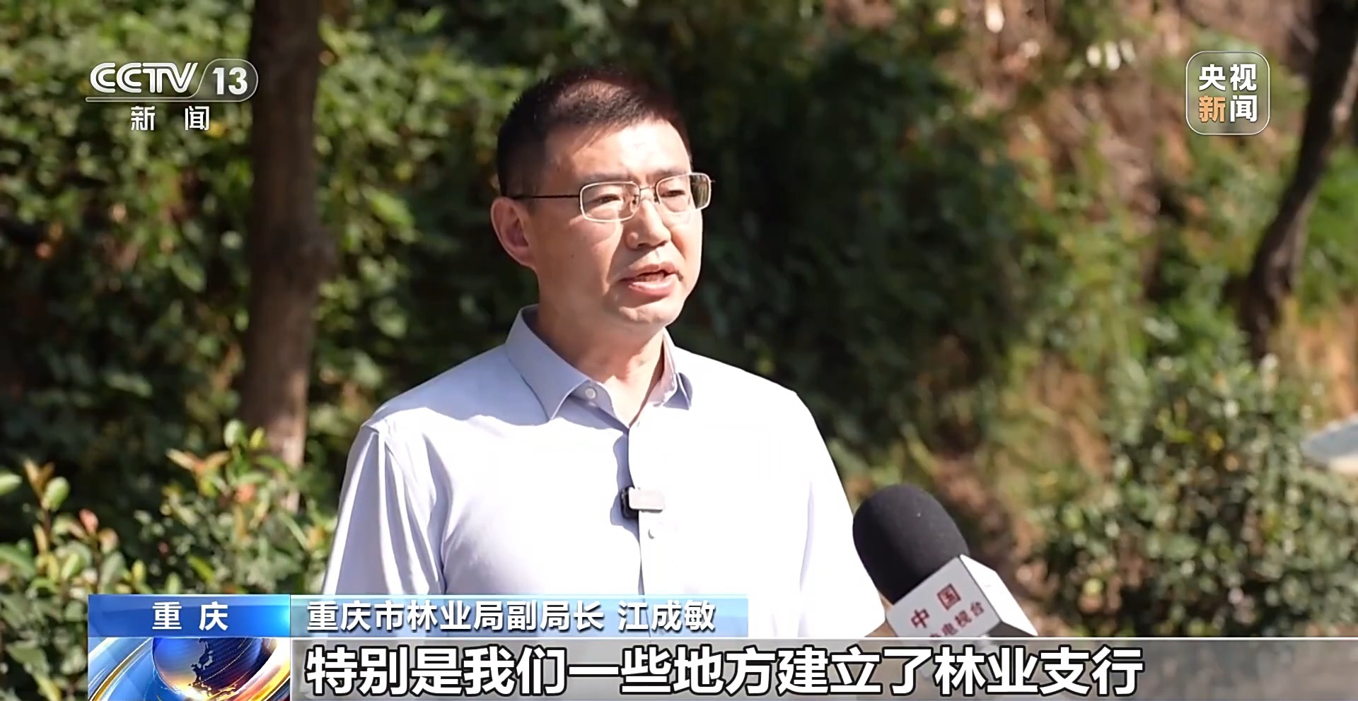 青山成了“金山”！我国林草产业年产值突破10万亿元