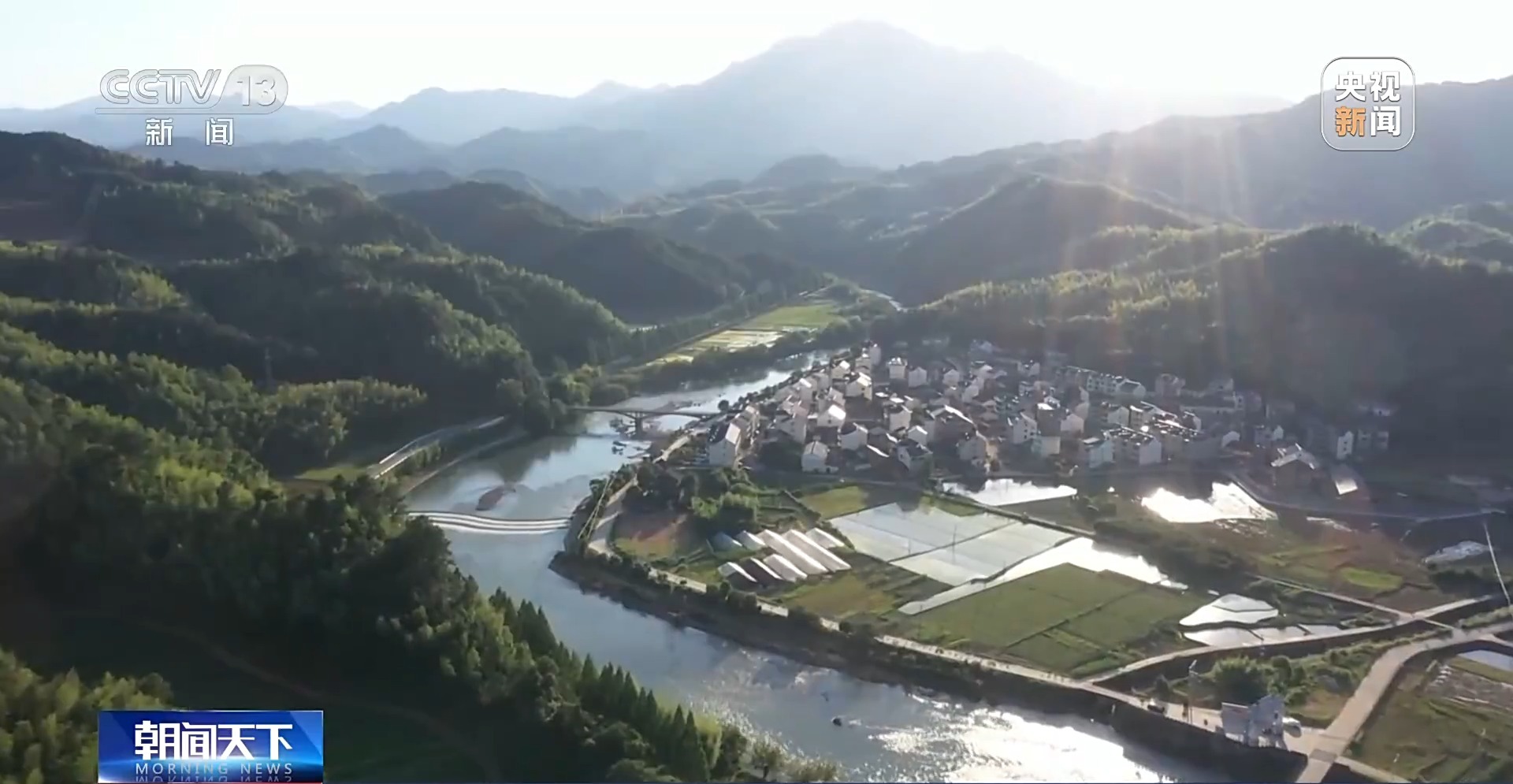 青山成了“金山”！我国林草产业年产值突破10万亿元