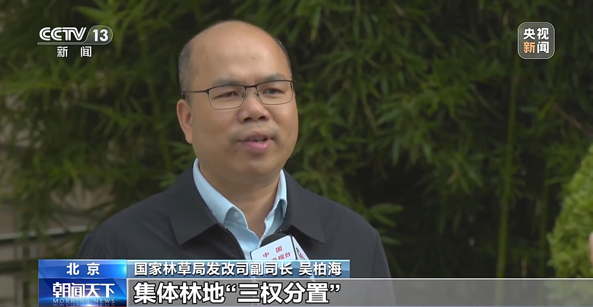 青山成了“金山”！我国林草产业年产值突破10万亿元