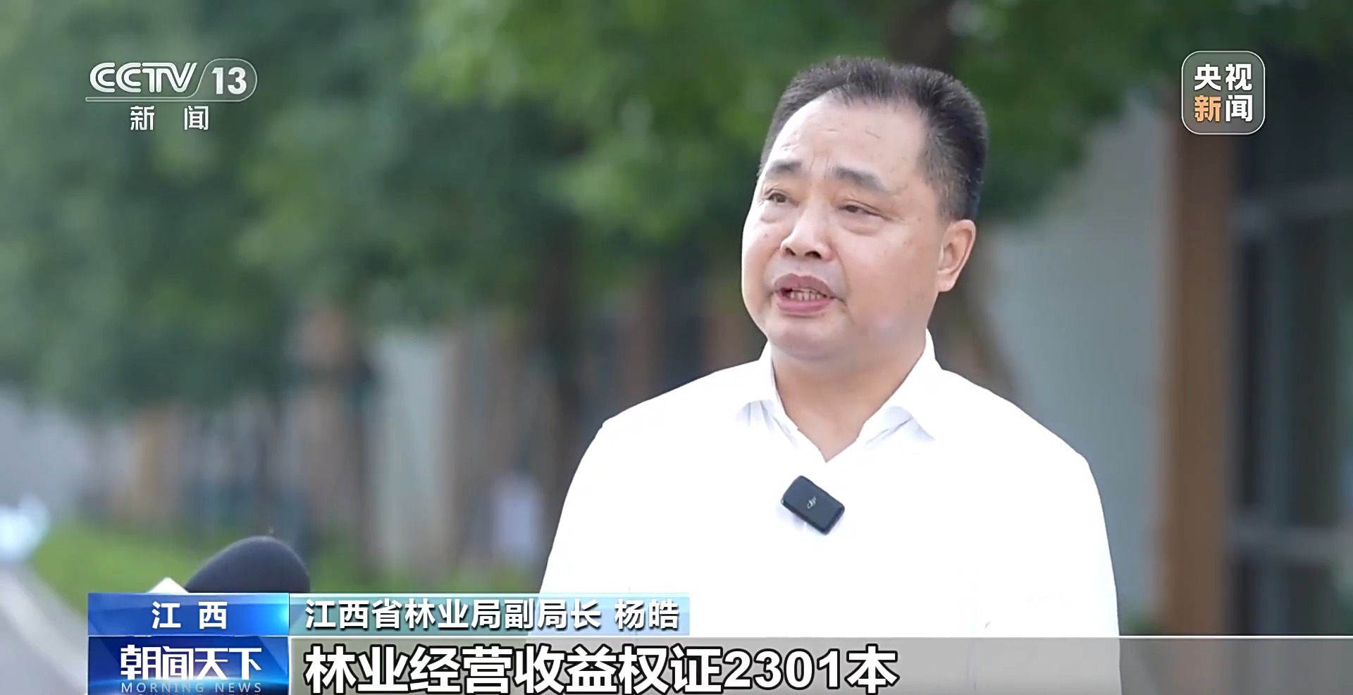 青山成了“金山”！我国林草产业年产值突破10万亿元