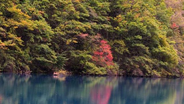 九寨沟秋景如画引游人