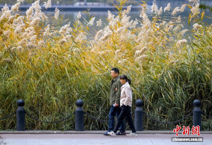 乌鲁木齐各大公园秋意浓