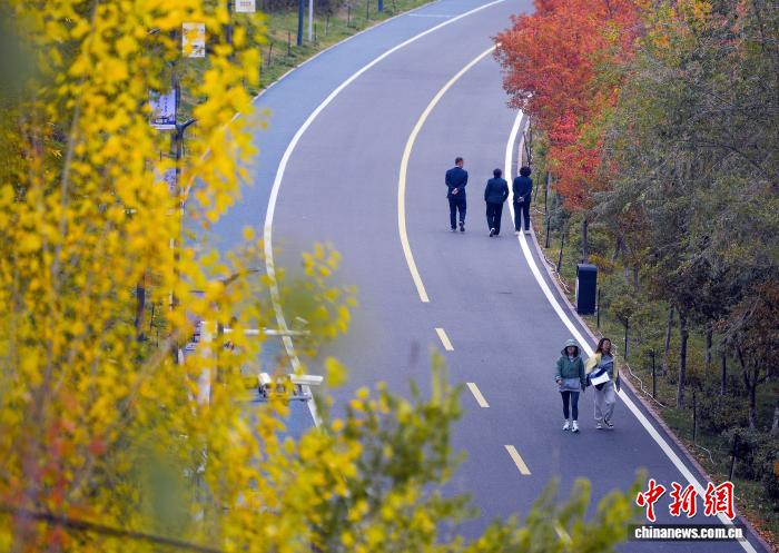 乌鲁木齐各大公园秋意浓