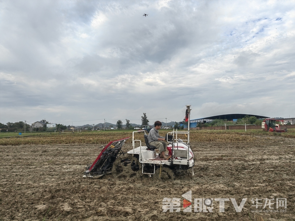 视频 | 破解山地种植痛点 这场示范现场会让稻油轮作插上“智能翅膀”