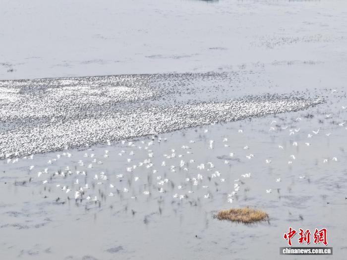 强冷空气致吉林“秒入冬” 部分地区迎大到暴雪