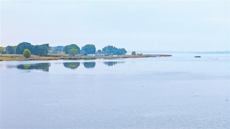 湿地鸟鸣,沙海焕新生 ——榆林市榆阳区绘就生态新画卷 湿地鸟鸣,沙海焕新生 ——榆林市榆阳区绘就生态新画卷