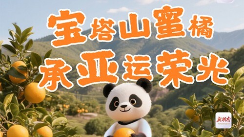 品亚运柑橘，赏千岛湖景！10月26日一起到安化宝塔山组个“橘”