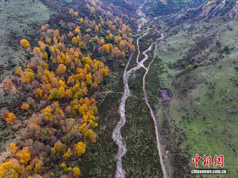 航拍群加国家森林公园秋日美景