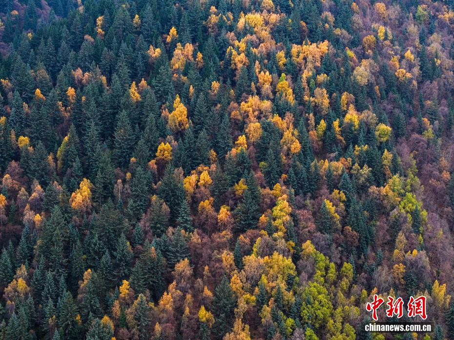 航拍群加国家森林公园秋日美景