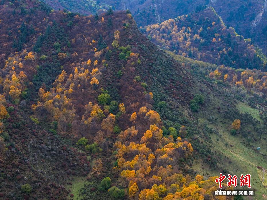 航拍群加国家森林公园秋日美景