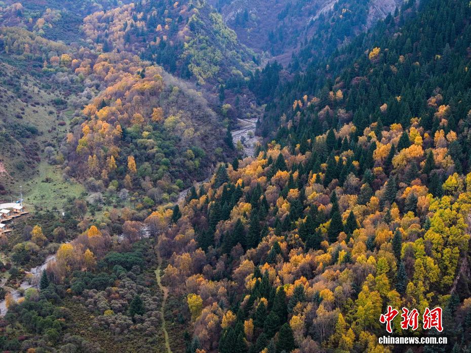 航拍群加国家森林公园秋日美景