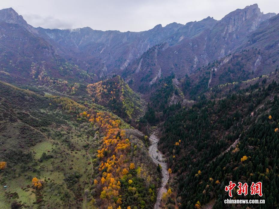 航拍群加国家森林公园秋日美景