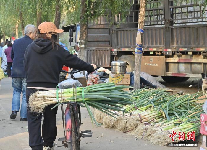 吉林长春：市民开启“囤秋菜”模式
