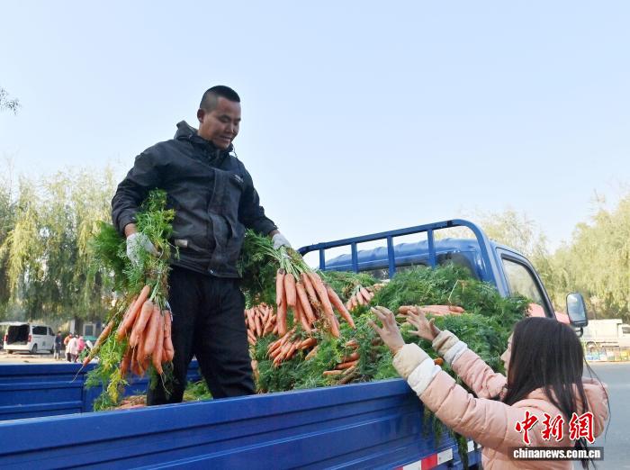 吉林长春：市民开启“囤秋菜”模式