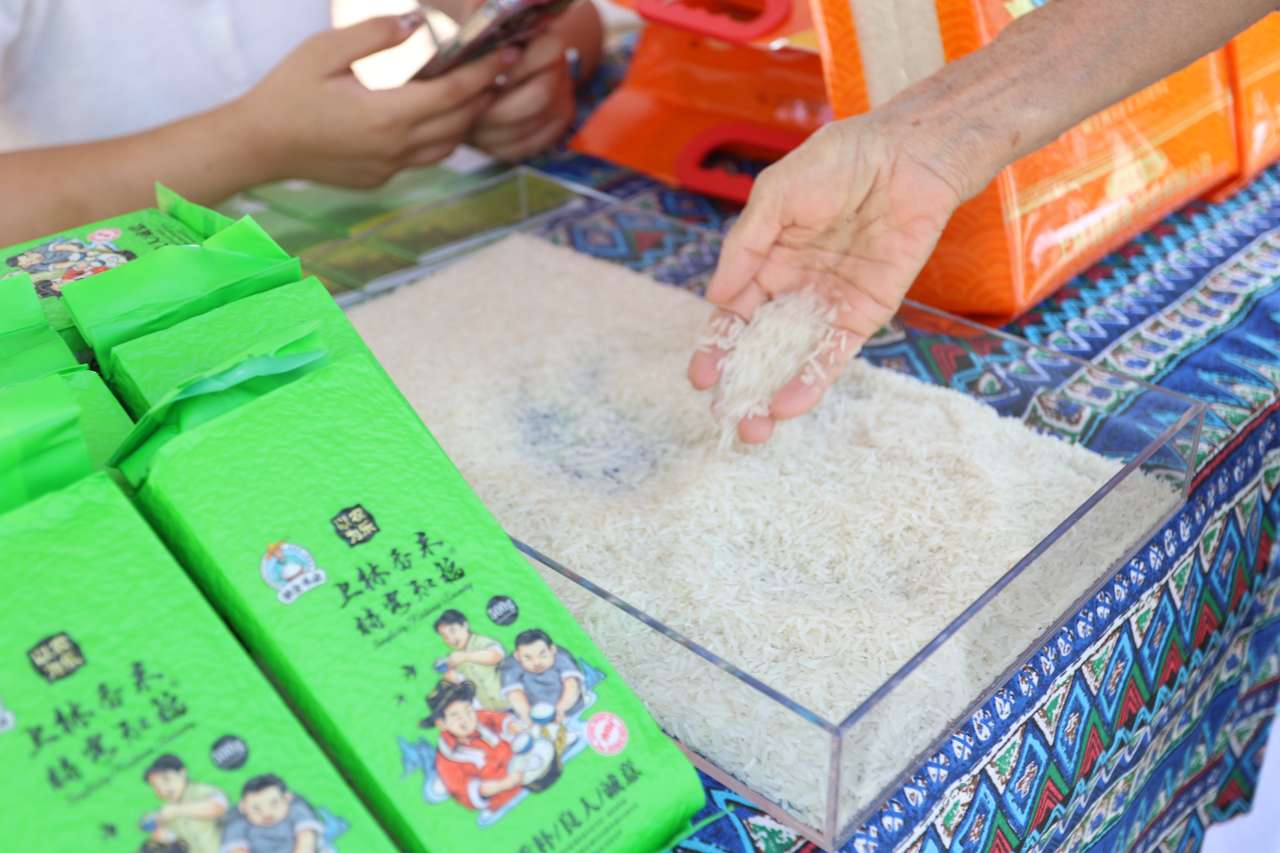广西举办系列活动宣传粮食安全