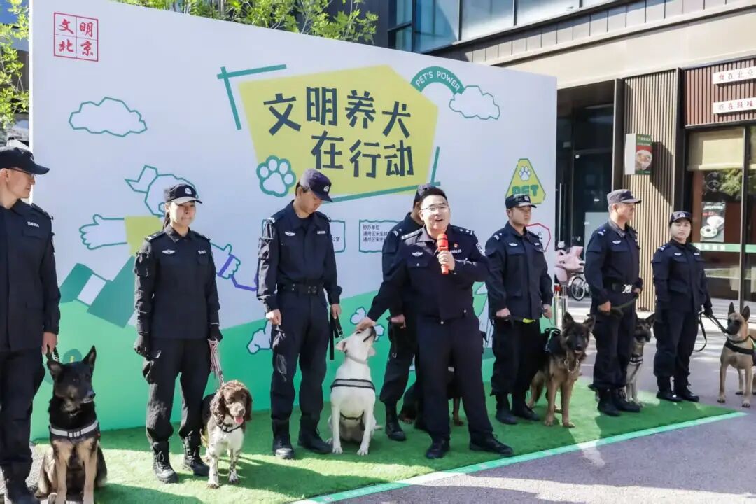 第六届“文明养犬在行动”主题宣传实践活动举办