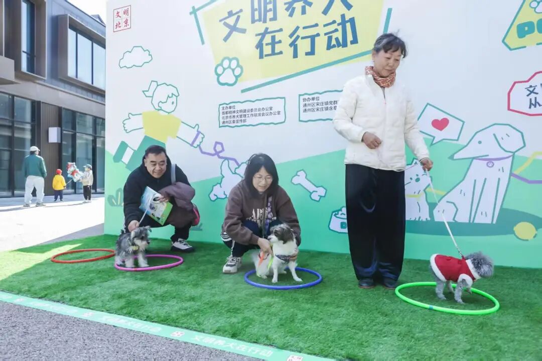 第六届“文明养犬在行动”主题宣传实践活动举办