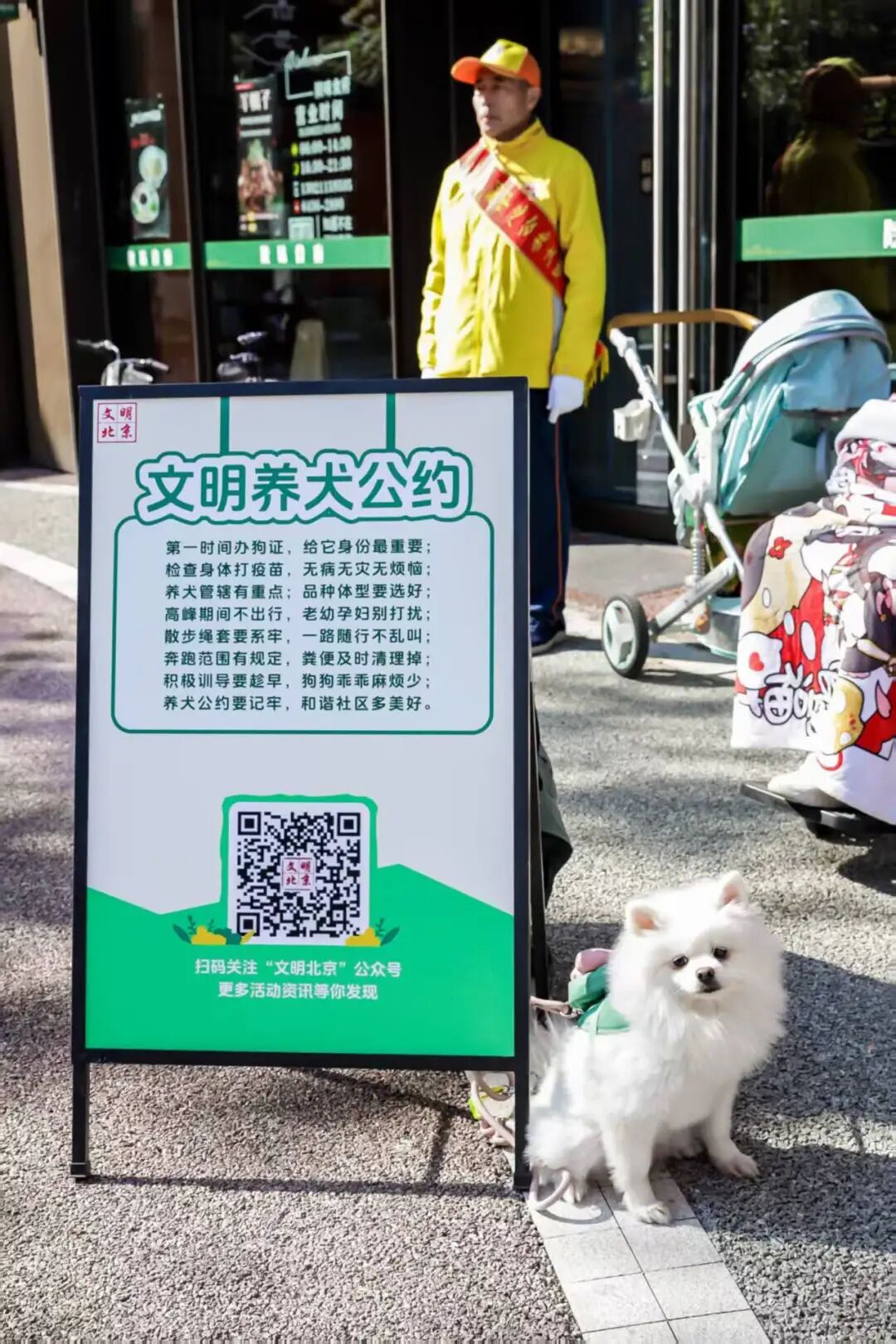 第六届“文明养犬在行动”主题宣传实践活动举办