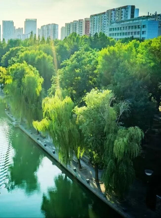 我家就在岸上住