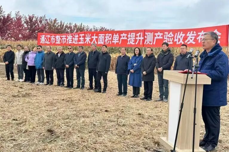 通辽市玉米单产提升再添新绩 测产数据印证技术实效