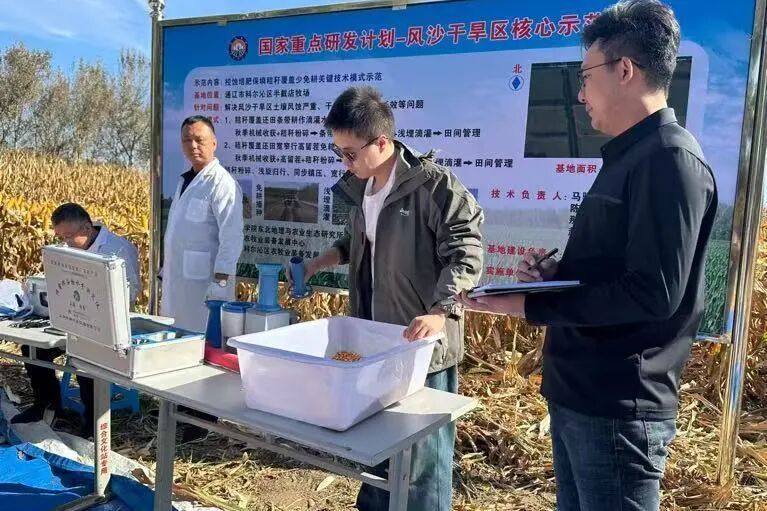 通辽市玉米单产提升再添新绩 测产数据印证技术实效
