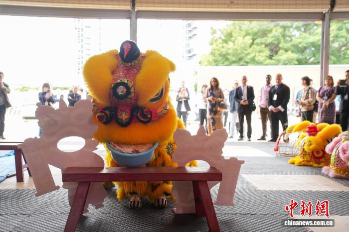 【东盟专线】广西柳州“小狮子”出圈东盟：少年舞“活”非遗