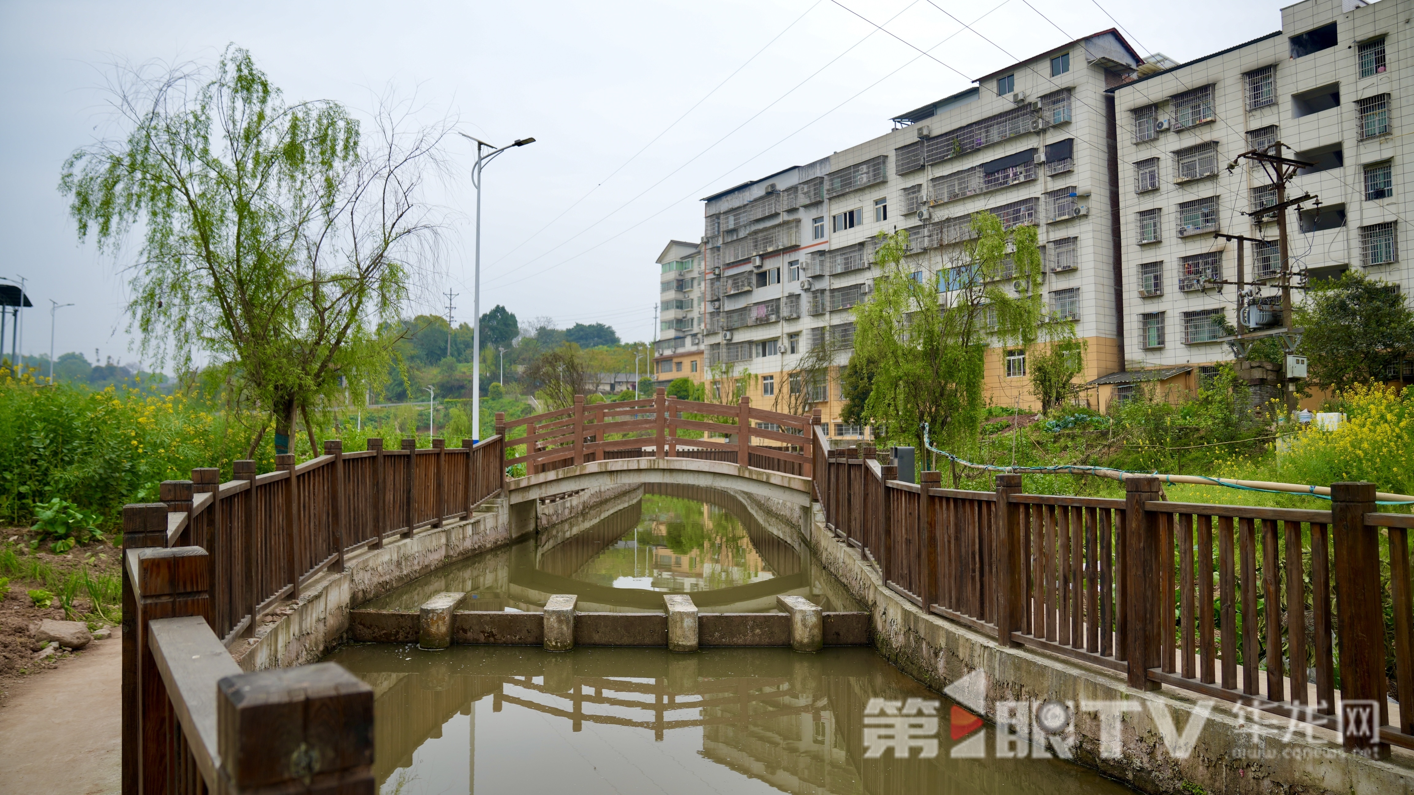 非凡“十四五”·我们这五年丨在重庆，读懂美丽之城的生态密码
