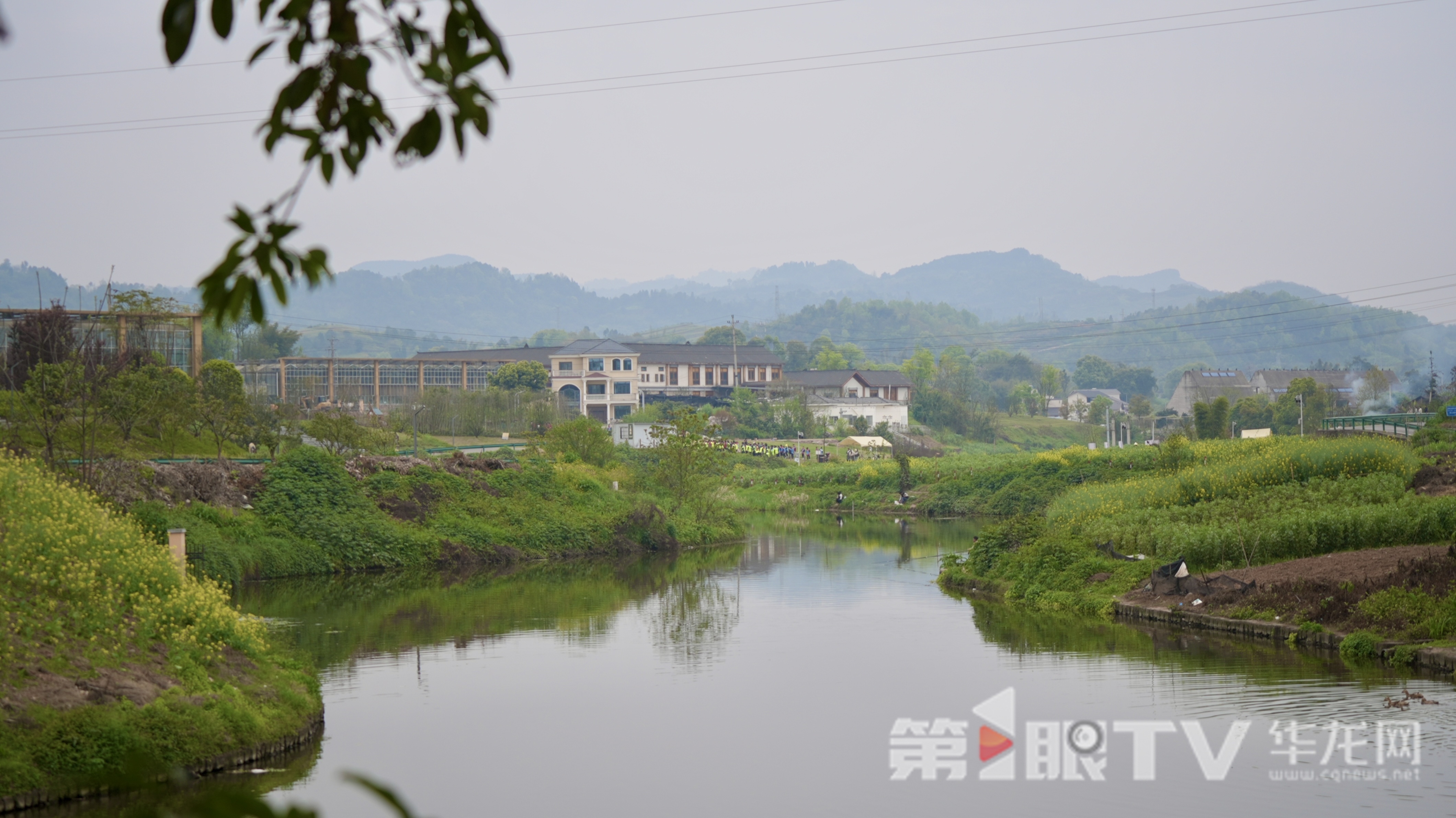 非凡“十四五”·我们这五年丨在重庆，读懂美丽之城的生态密码