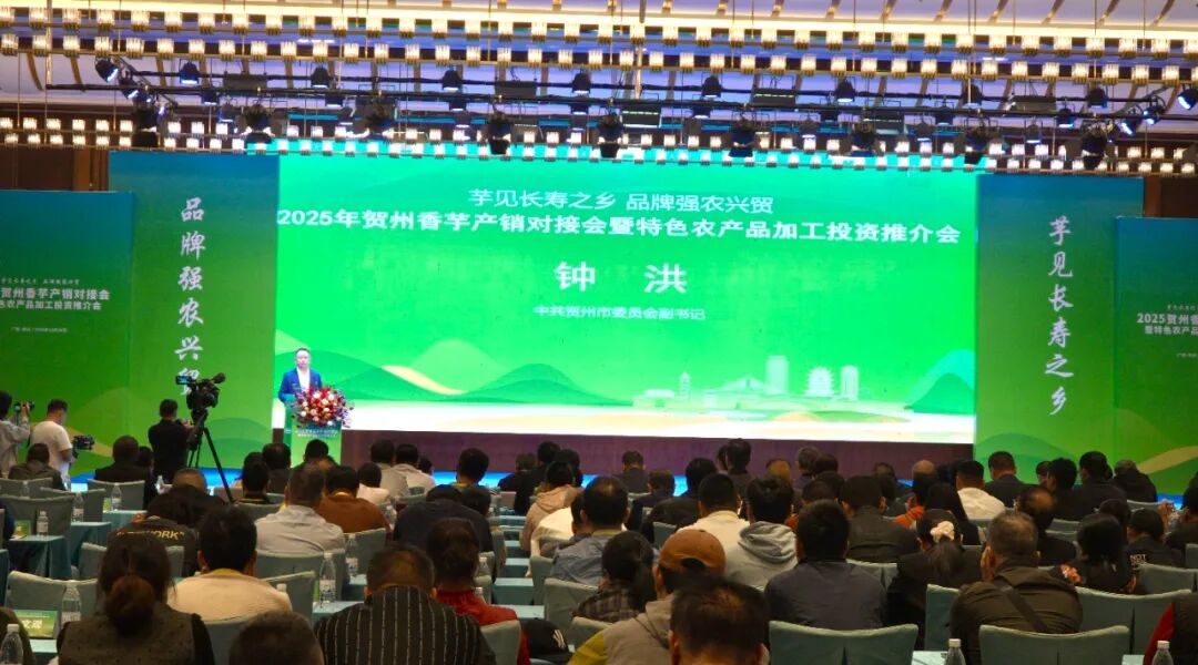 “芋”见长寿乡 合作启新程——2025贺州香芋产销对接会暨特色农产品加工投资推介会召开