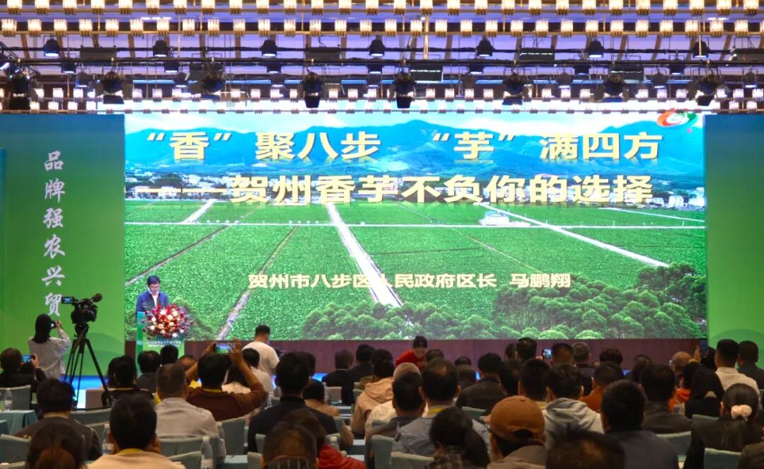 “芋”见长寿乡 合作启新程——2025贺州香芋产销对接会暨特色农产品加工投资推介会召开