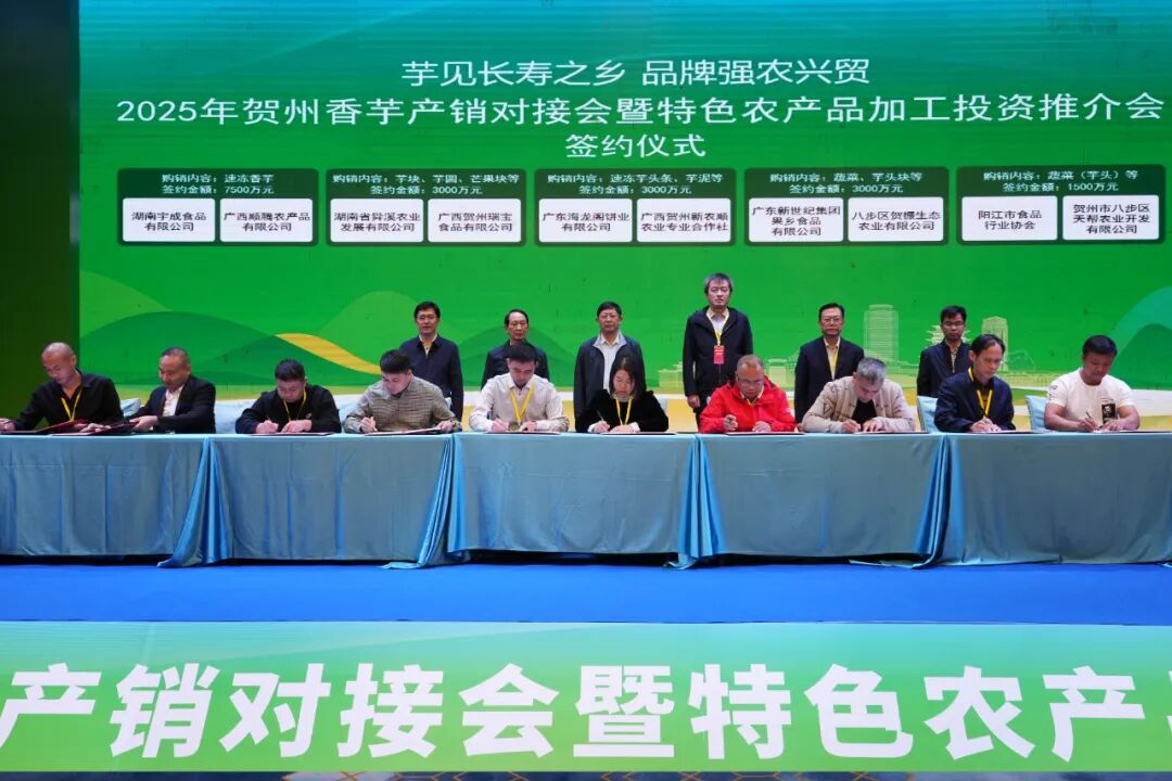 “芋”见长寿乡 合作启新程——2025贺州香芋产销对接会暨特色农产品加工投资推介会召开