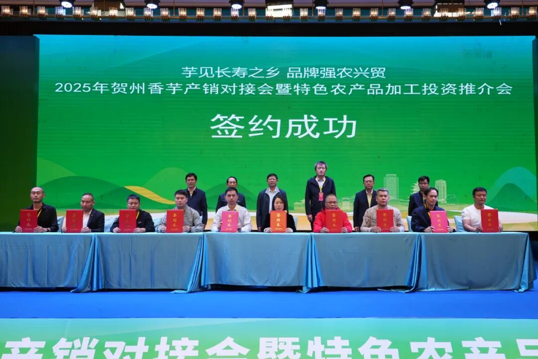“芋”见长寿乡 合作启新程——2025贺州香芋产销对接会暨特色农产品加工投资推介会召开