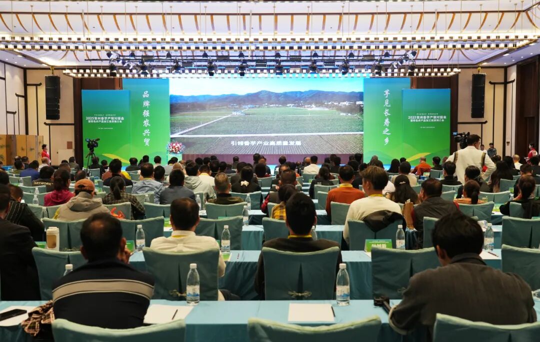 “芋”见长寿乡 合作启新程——2025贺州香芋产销对接会暨特色农产品加工投资推介会召开